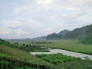 Chính chủ bán nhanh mảnh đất gần mộc châu