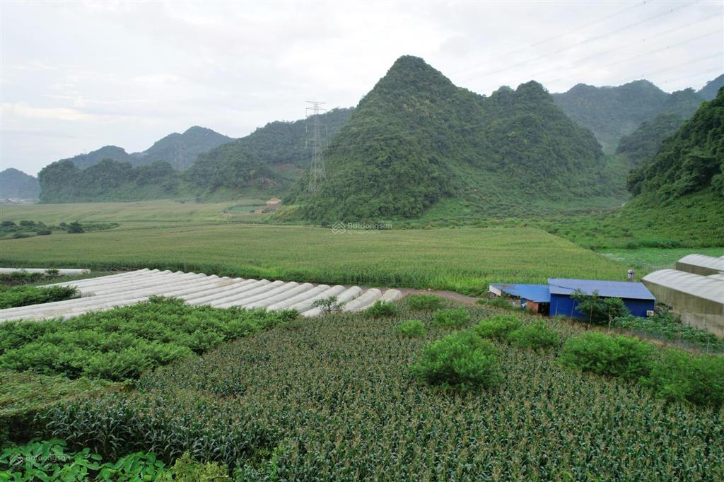 Chính chủ bán nhanh mảnh đất gần mộc châu