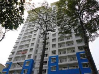 Độc quyền chcc nguyễn chí thanh, q. 5  căn góc, view thoáng  thang máy  sổ hồng