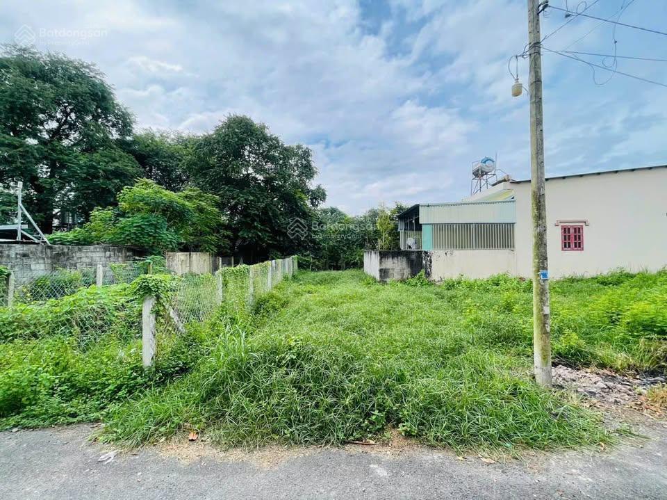 Bán gấp lô đất ngay cây trôm mỹ khánh, 110m2, mặt tiền đường nhựa, shr, giá chỉ 900 triệu