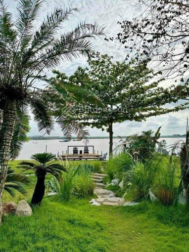 Bán đất mt long phước  mt đường long phước  sát chợ  8*20 full thổ cư  giá 7.6 tỷ