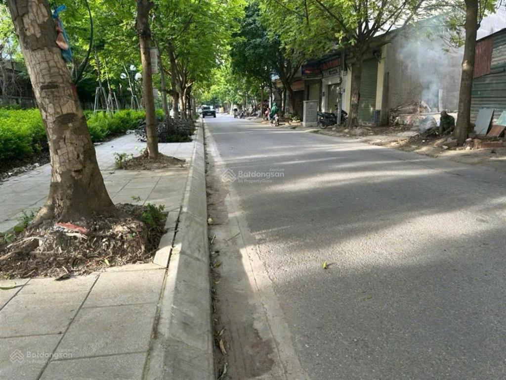 Bán đất đấu giá cuối đường bà triệu  quang trung đường phân lô vỉa hè ô tô cực hiếm 50m²