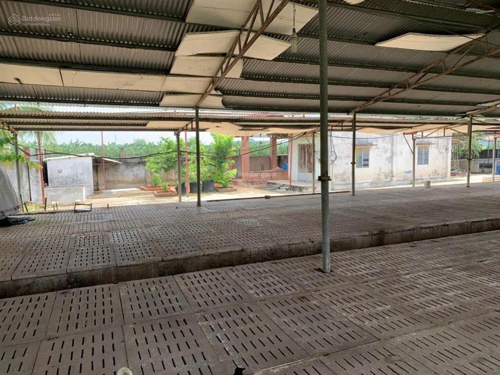 Bán kho xưởng, đất chính chủ xã bình lợi, vĩnh cửu