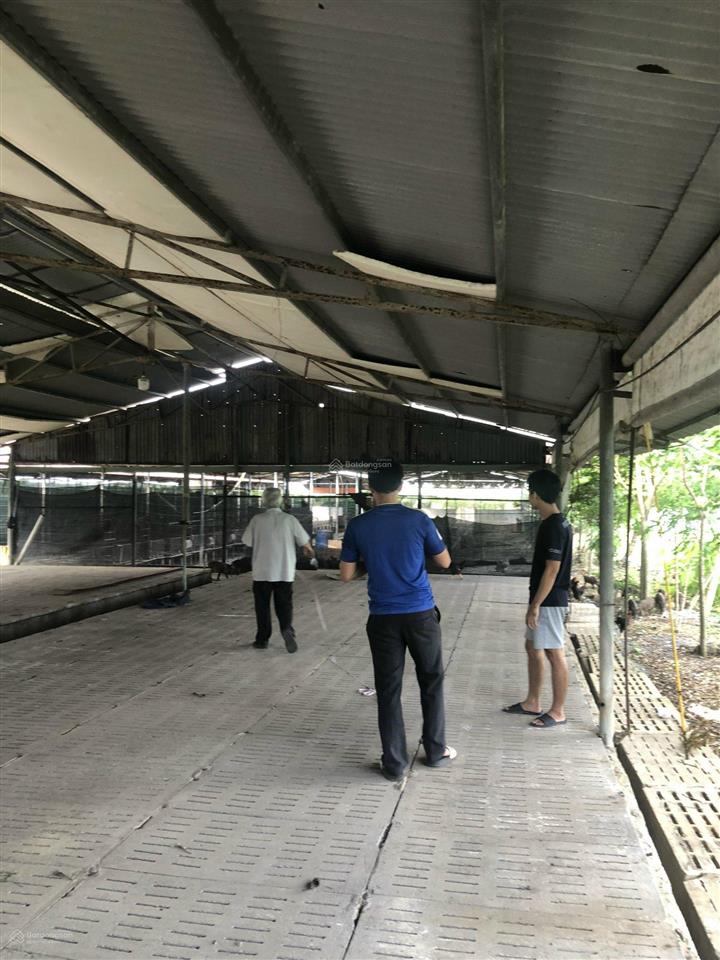 Bán kho xưởng, đất chính chủ xã bình lợi, vĩnh cửu