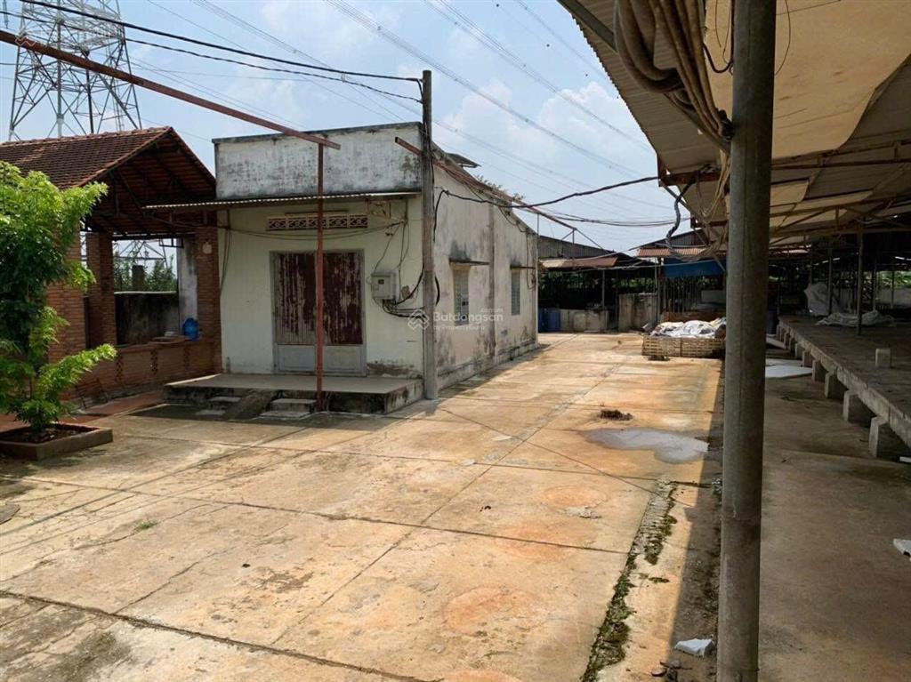 Bán kho xưởng, đất chính chủ xã bình lợi, vĩnh cửu