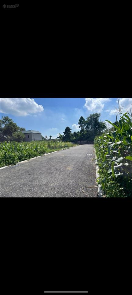 Bán đất khu công nghiệp nhuận trạch lương sơn hòa bình