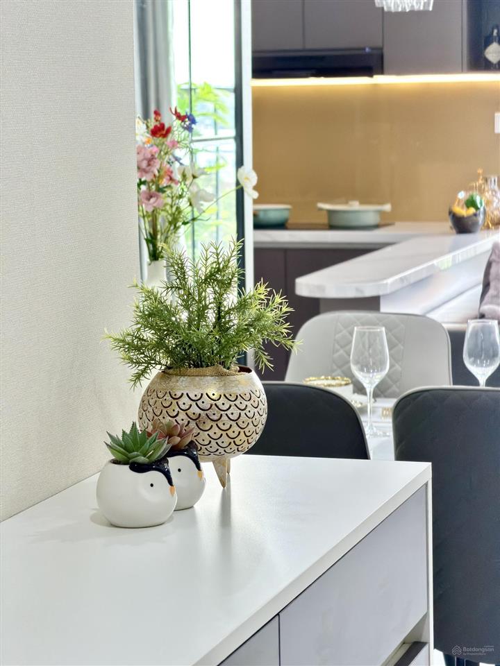 Diamond boulevard full nội thất đối diện kcn việt hương, giá chỉ 36tr/m²