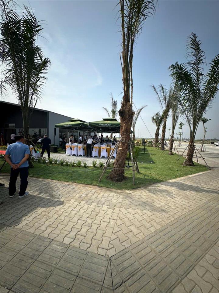 Kdc mai bá hương đi trước chu kỳ, đón sóng hạ tầng thật. dt đa dạng từ 90m2240m2