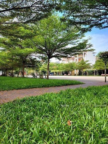 Bán đất đường 12m sát mt đặng thuỳ trâm, phường 13, bình thạnh 4x20m 12,9 tỷ tl