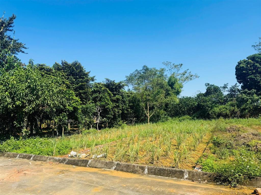 Chính chủ bán lô đất 385m2  xã phú cát  hà nội  giá 12tr/m2, hàng giá tốt để xây biệt phủ