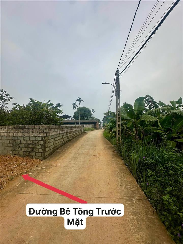 Siêu phẩm dòng tiền chỉ 20tr/m2 sở hữu lô đất đẹp tại phú cát  quốc oai  hà nội