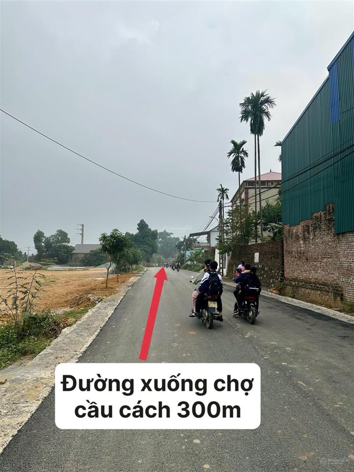 Siêu phẩm dòng tiền chỉ 20tr/m2 sở hữu lô đất đẹp tại phú cát  quốc oai  hà nội