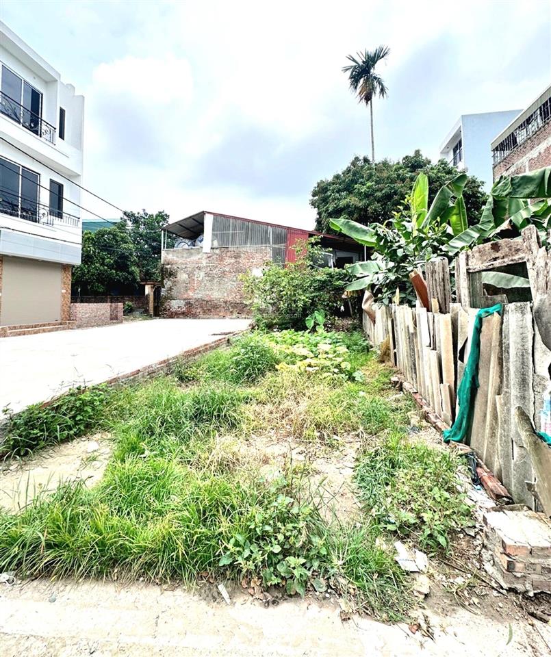 Vân côn 54m²  nhỉnh 5t  tô vào nhà  ngõ thông  sát đại lộ thăng long  tiện ích đủ đầy...