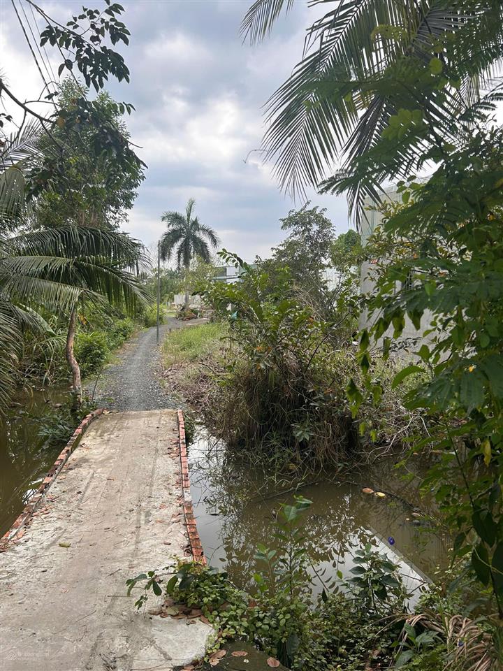 Chính chủ bán đất nông nghiệp quy hoạch đất ở khu dân cư hiện hữu hưng long, bình chánh