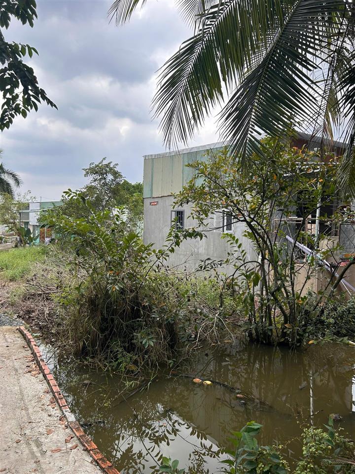 Chính chủ bán đất nông nghiệp quy hoạch đất ở khu dân cư hiện hữu hưng long, bình chánh