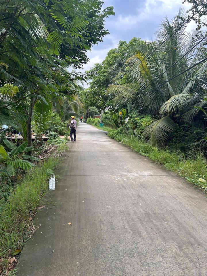 Chính chủ bán đất nông nghiệp quy hoạch đất ở khu dân cư hiện hữu hưng long, bình chánh