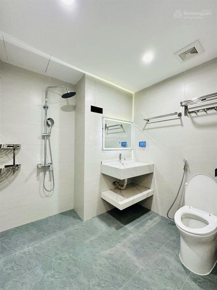 Bán nhà phố đào tấn 46m2 giá 17,5 tỷ
