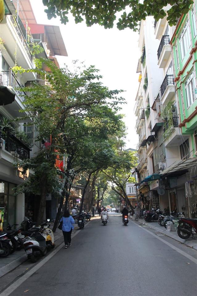 Bán nhà mặt phố hàng đồng 72m mt 4,5m giá 56,5 tỷ