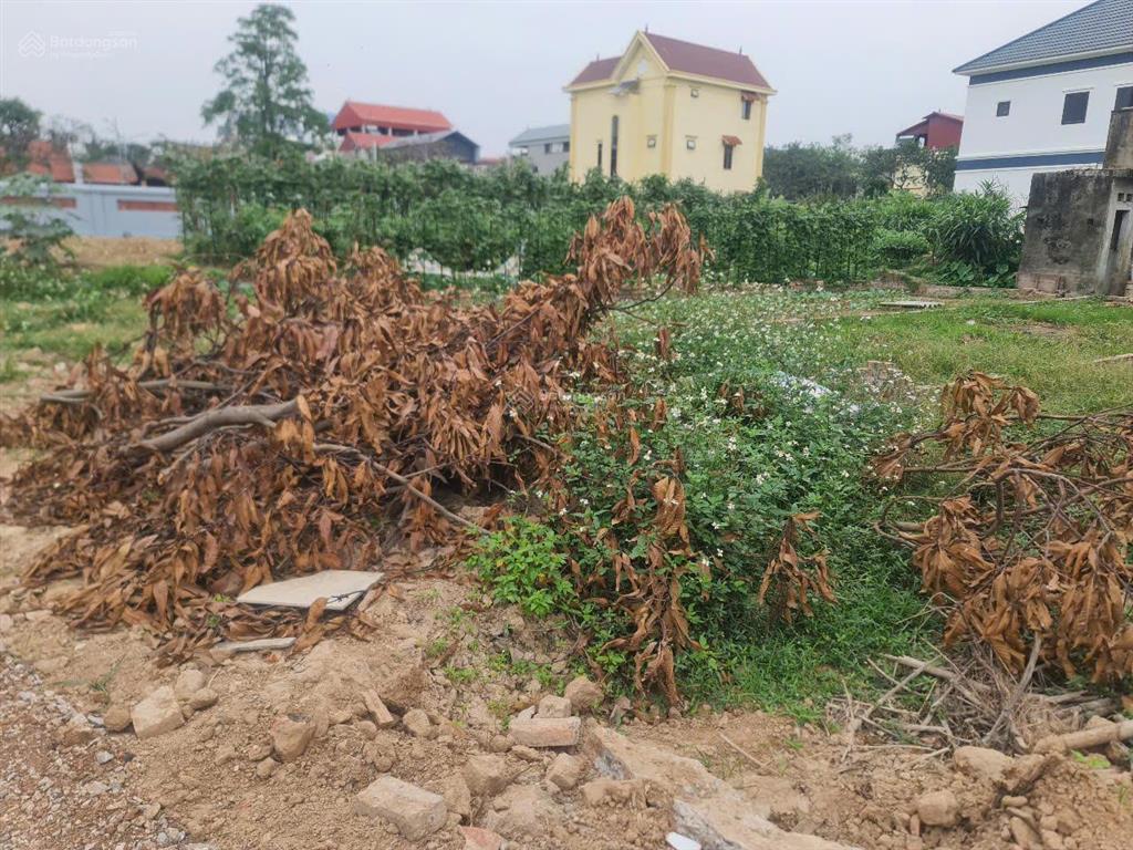 Siêu phẩm đất đầu tư  không mua hôm nay, mai tăng giá! đất bìa làng biểu khê  thụy lâm