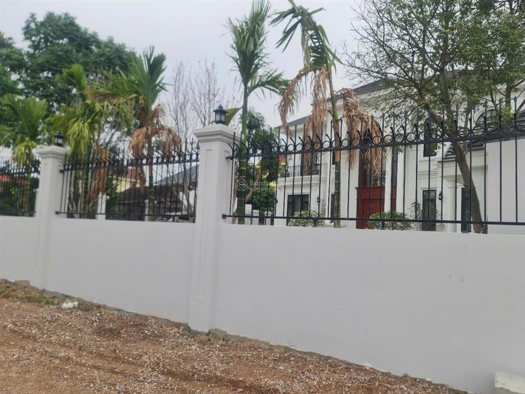 Siêu phẩm đất đầu tư  không mua hôm nay, mai tăng giá! đất bìa làng biểu khê  thụy lâm