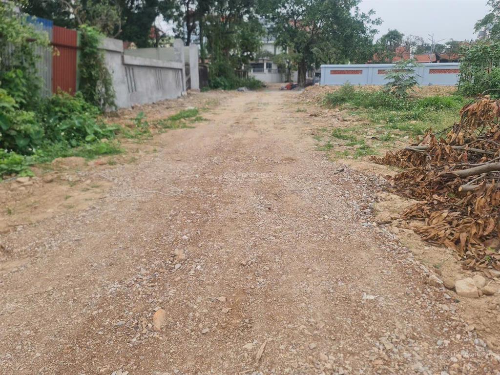 Siêu phẩm đất đầu tư  không mua hôm nay, mai tăng giá! đất bìa làng biểu khê  thụy lâm