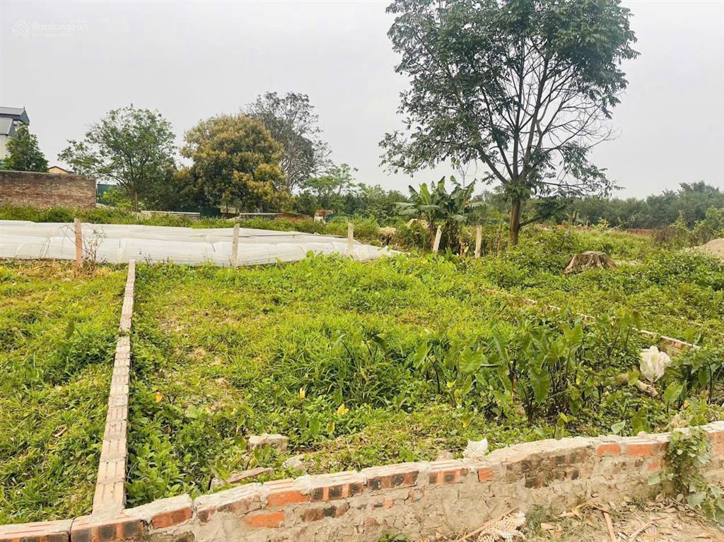 Bán gấp 45m2 bến trung  bắc hồng  đông anh, sát vin bắc hồng, rẻ nhất đông anh