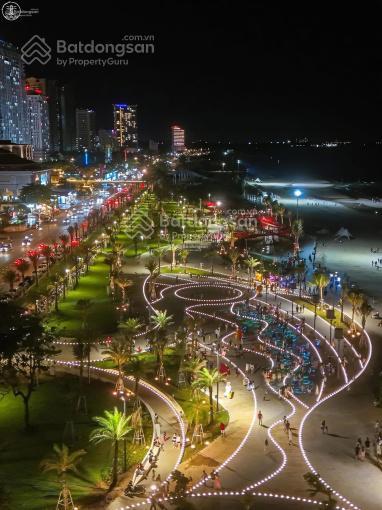 Bán đất biệt thự kiến tạo gần công viên tháp tam thắng 222.5m2 full thổ cư. giá 20 tỷ