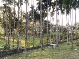 Sở hữu ngay lô đất to gần 650m2 có đất thổ cư 150m2 tại hoà bắc. nơi an cư, đầu tư lý tưởng