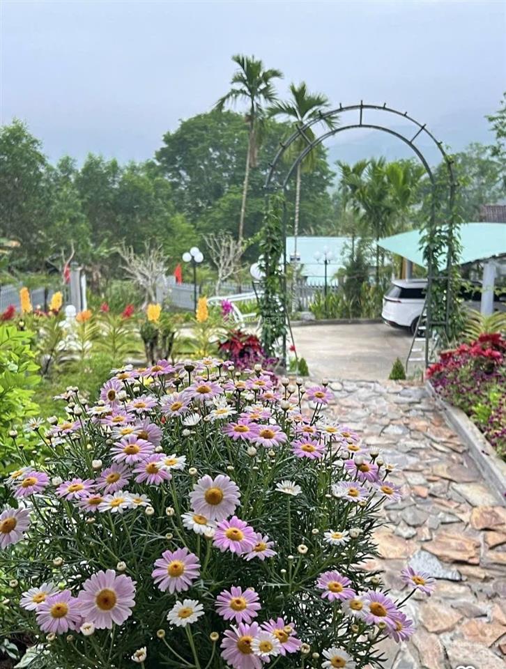 Siêu phẩm nghỉ dưỡng  gần tháp mỹ sơn cơ hội đầu tư sinh lời cao