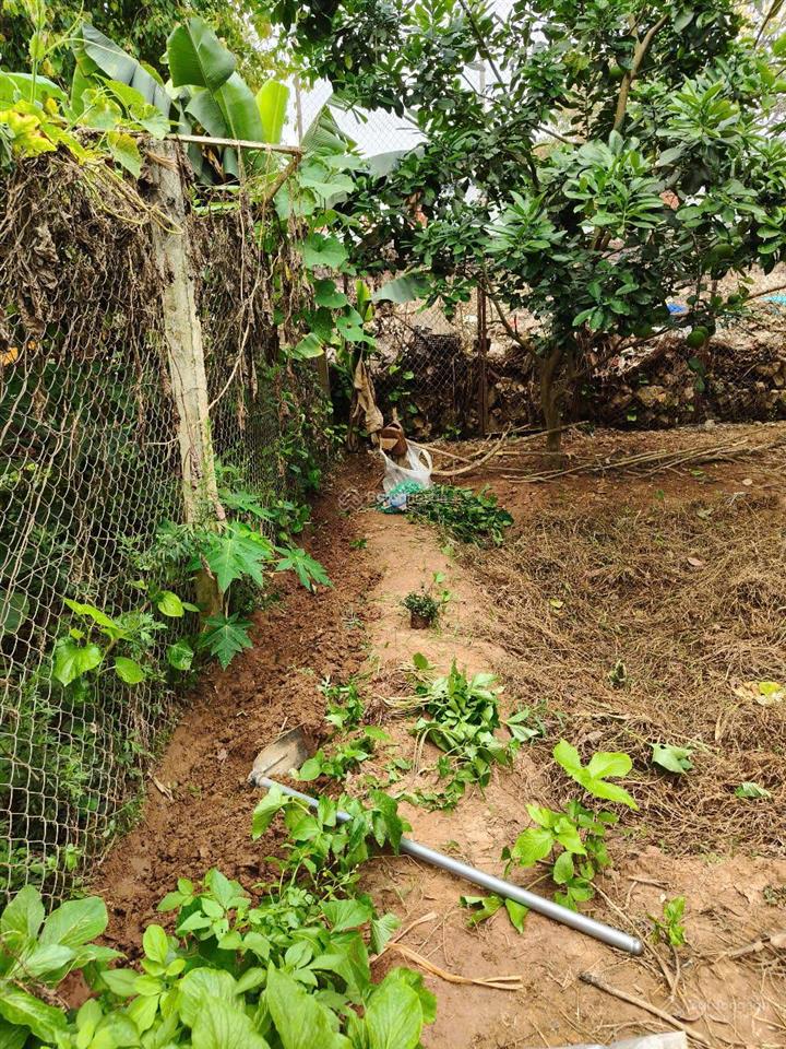 Đất chính chủ khu đô thị hà hương rất đẹp, đường ô tô, vỉa hè, cột đèn, ngay sát trg thpt liên hà