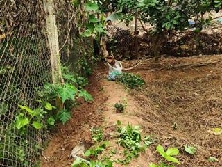 Đất chính chủ khu đô thị hà hương rất đẹp, đường ô tô, vỉa hè, cột đèn, ngay sát trg thpt liên hà