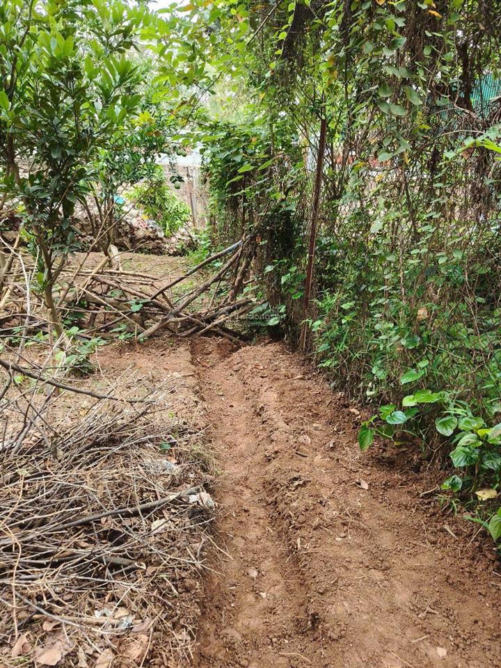 Đất chính chủ khu đô thị hà hương rất đẹp, đường ô tô, vỉa hè, cột đèn, ngay sát trg thpt liên hà