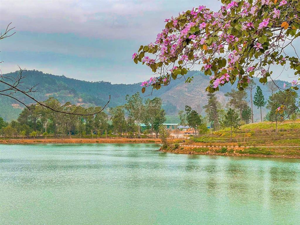 Biệt thự thanh xuân valley sở hữu lâu dài bàn giao luôn view hồ