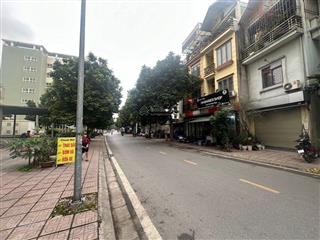 Bán nhà mặt phố hoa lâm  kinh doanh vỉa hè  hai mặt tiền ( chia 2 lô được). 100m2, mt4m.