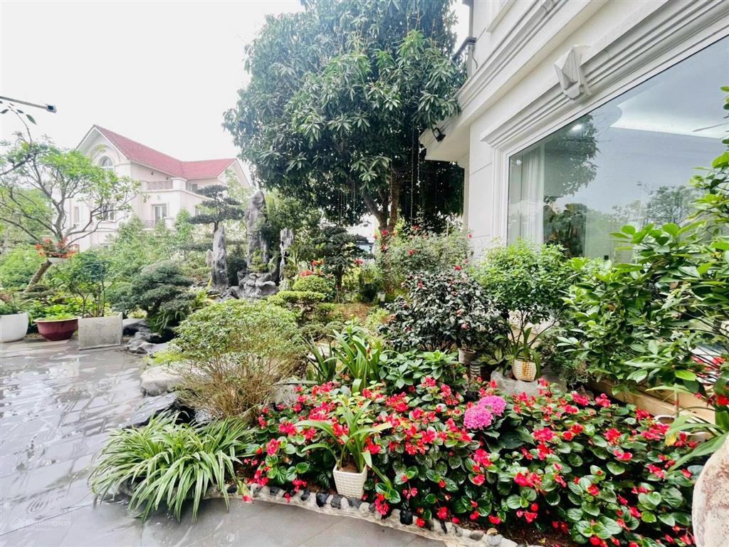 Bán bt hoa sữa view vườn hoa  phía sau view sông thang máy. dt210m2,4 tầng. giá thương lượng