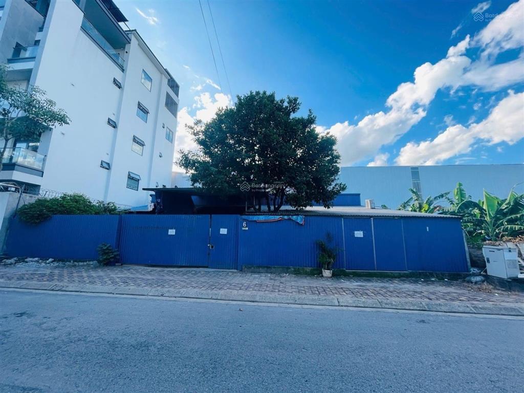 Bán đất phân lô việt hưng  vỉa hè  kinh doanh  mua ở, văn phòng. 330m², mt 16.9m. giá tl