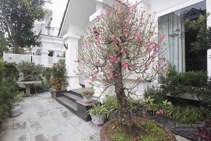Cần cho thuê căn biệt thự khu anh đào  vinhomes long biên. dt 160m², mt 9m, full nội thất.