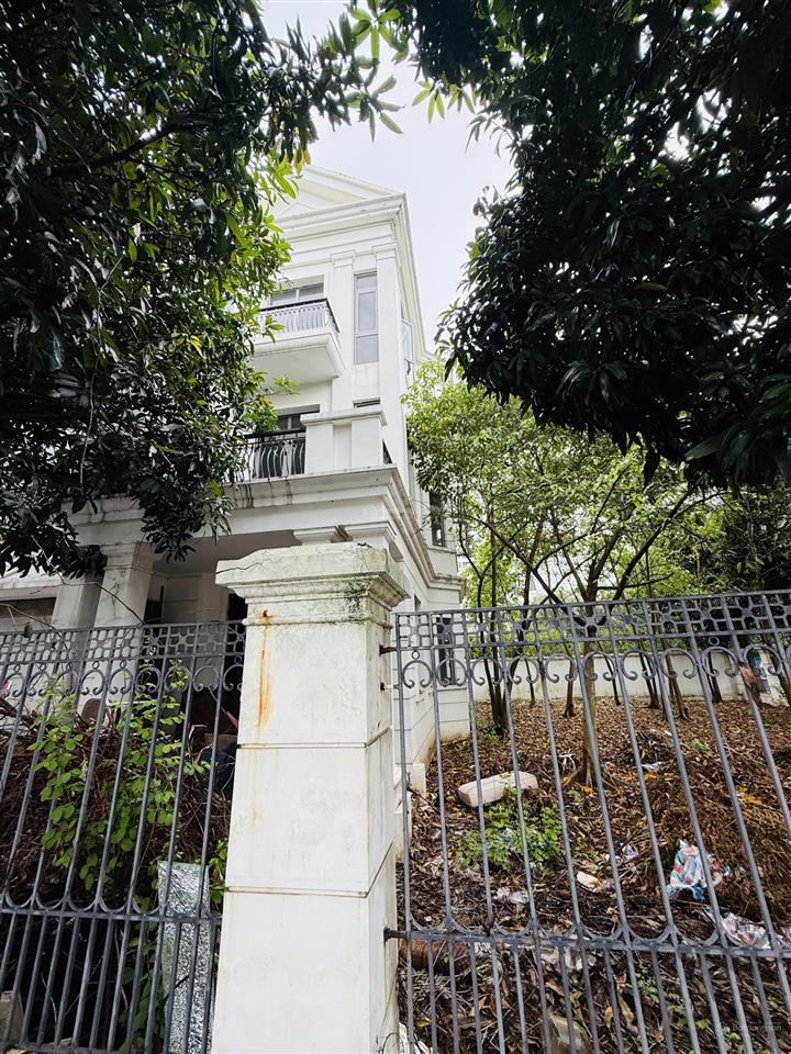 Cho thuê bt thô đường nguyệt quế  vinhomes long biên căn góc 520m2, mt20m. giá thuê 70tr/th