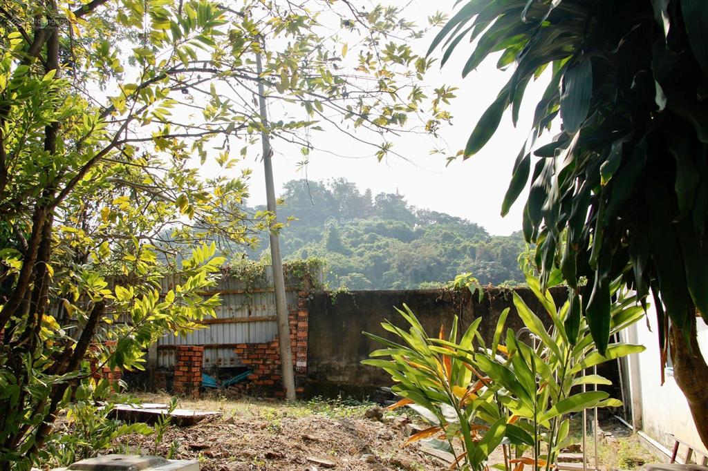 Nhà riêng tại châu thới, phường bình an, dĩ an, bình dương, diện tích 752.6 m2, giá 30 tỷ vnd.