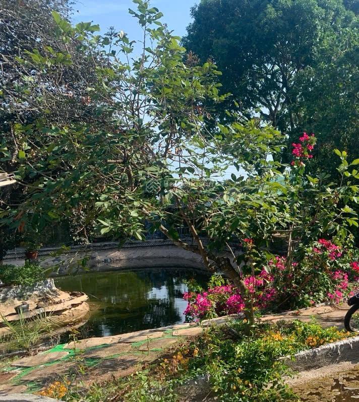 Chính chủ bán đất 1000m2 bà rịa vũng tàu ngang 20m chỉ 4 tỷ