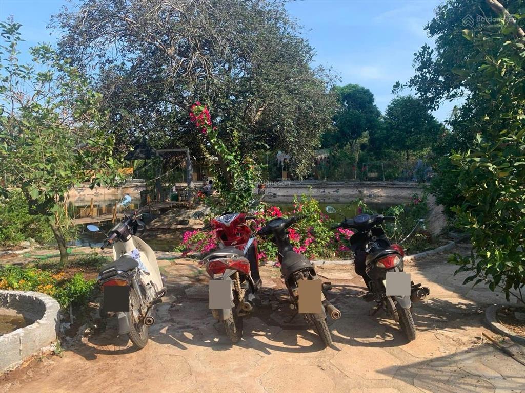 Chính chủ bán đất 1000m2 bà rịa vũng tàu ngang 20m chỉ 4 tỷ