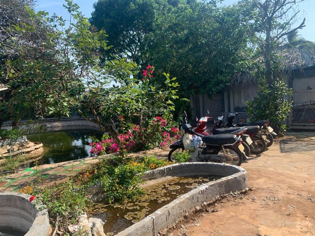 Chính chủ bán đất 1000m2 bà rịa vũng tàu ngang 20m chỉ 4 tỷ