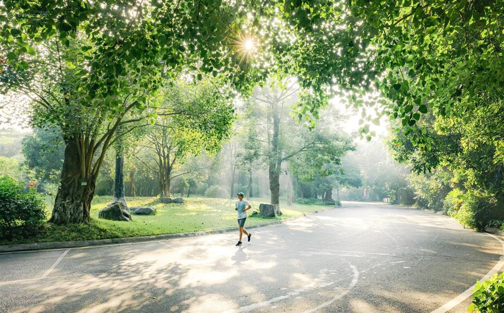 Bán cc the fibonan ecopark, 5,3 tỷ, 79m2, 3n 2wc giá tốt nhất tại ecopark