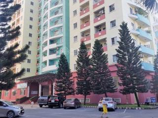 Bán 489m2 và 863m2 giá 13 tr/m2, shophouse thương mại và nhà trẻ chung cư 28 bùi tư toàn, bình tân