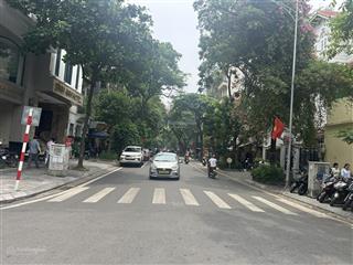 Bán toà nhà phố trần xuân soạn  hai bà trưng  kinh doanh sầm uất. dt 208m2 x 9t. giá 180 tỷ