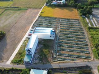 Bán lô đất mặt tiền đoàn văn diệu, mỹ lộc, cần giuộc, dt 129m2 thổ, giá chỉ 1,5 tỷ bớt lộc, shr