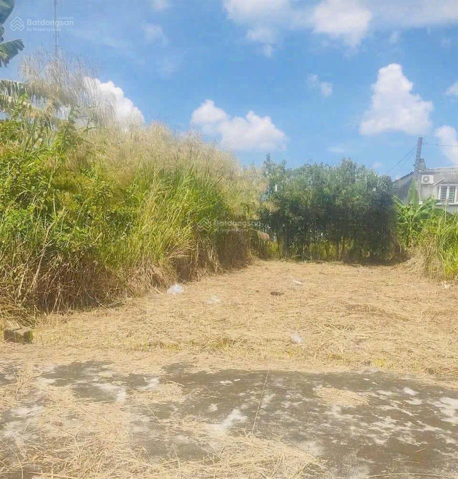 Chủ ngộp cần bán gấp lô đất đường ô tô, lộc hậu, mỹ lộc, cần giuộc, dt 88,1m2 thổ, giá 750tr, shr