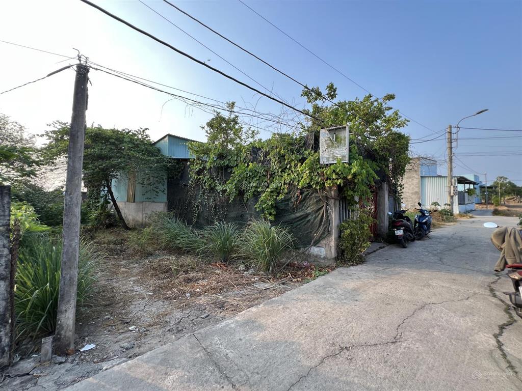 Chủ cần bán gấp đất mặt tiền đường ngô thị xứng, thanh ba, mỹ lộc, dt 125,8m2 thổ, giá 950tr shr