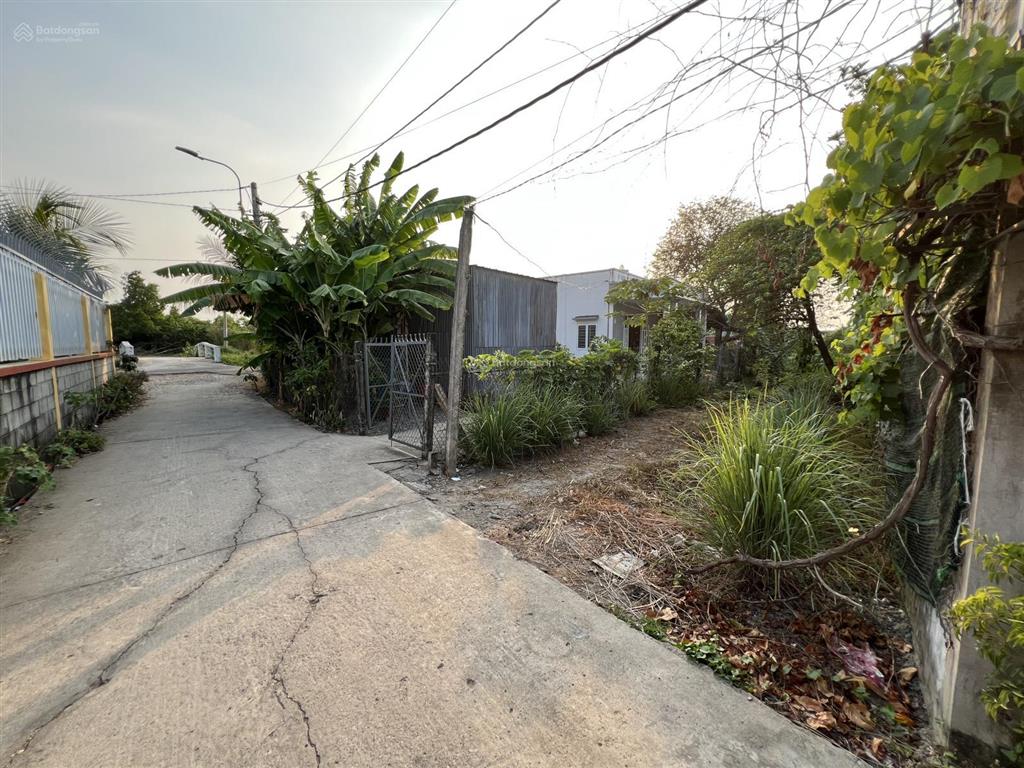 Chủ cần bán gấp đất mặt tiền đường ngô thị xứng, thanh ba, mỹ lộc, dt 125,8m2 thổ, giá 950tr shr