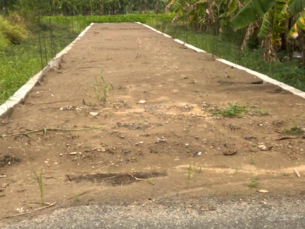 Chủ ngộp bán gấp lô góc mặt tiền lê thị lục, phước lâm, dt 150m2 thổ cư, giá ngộp 1,3 tỷ, shr